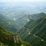 green covered mountain